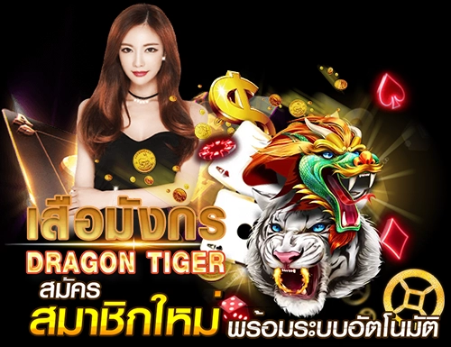 sign up dragon tiger